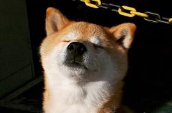 英雄联盟总决赛-当个人英雄主义撞上团队韧性，卢卡库爆发之夜与尼日利亚突围土耳其的生存法则