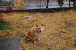 英雄联盟总决赛直播-写在中国灯笼上的唯一战书，当上海滩的午夜球场，遇见希腊怪兽的时针切割术