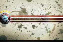 英雄联盟总决赛赛程-战火淬炼的舞者，芬兰对阵乌克兰的绿茵传奇