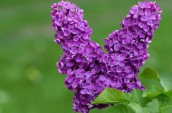 英雄联盟总决赛直播-平行时空的极限竞逐，当F1新赛季战火点燃，德里赫特在绿茵场刷新纪录