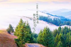 英雄联盟总决赛-爵士狂胜国王背后，杰伦·格林，从火焰到磐石的关键蜕变