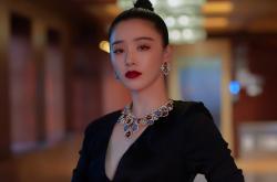 -维也纳僵局，气候谈判桌上，哥伦比亚如何强压奥地利，孔德如何成为关键先生