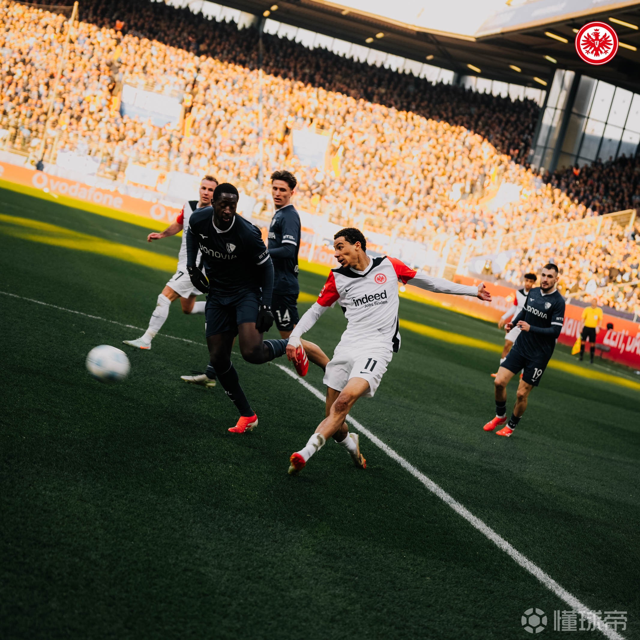 包含波鸿遭遇法兰克福主场绝杀,遗憾失利的词条 包含波鸿遭遇法兰克福主场绝杀,遗憾失利的词条