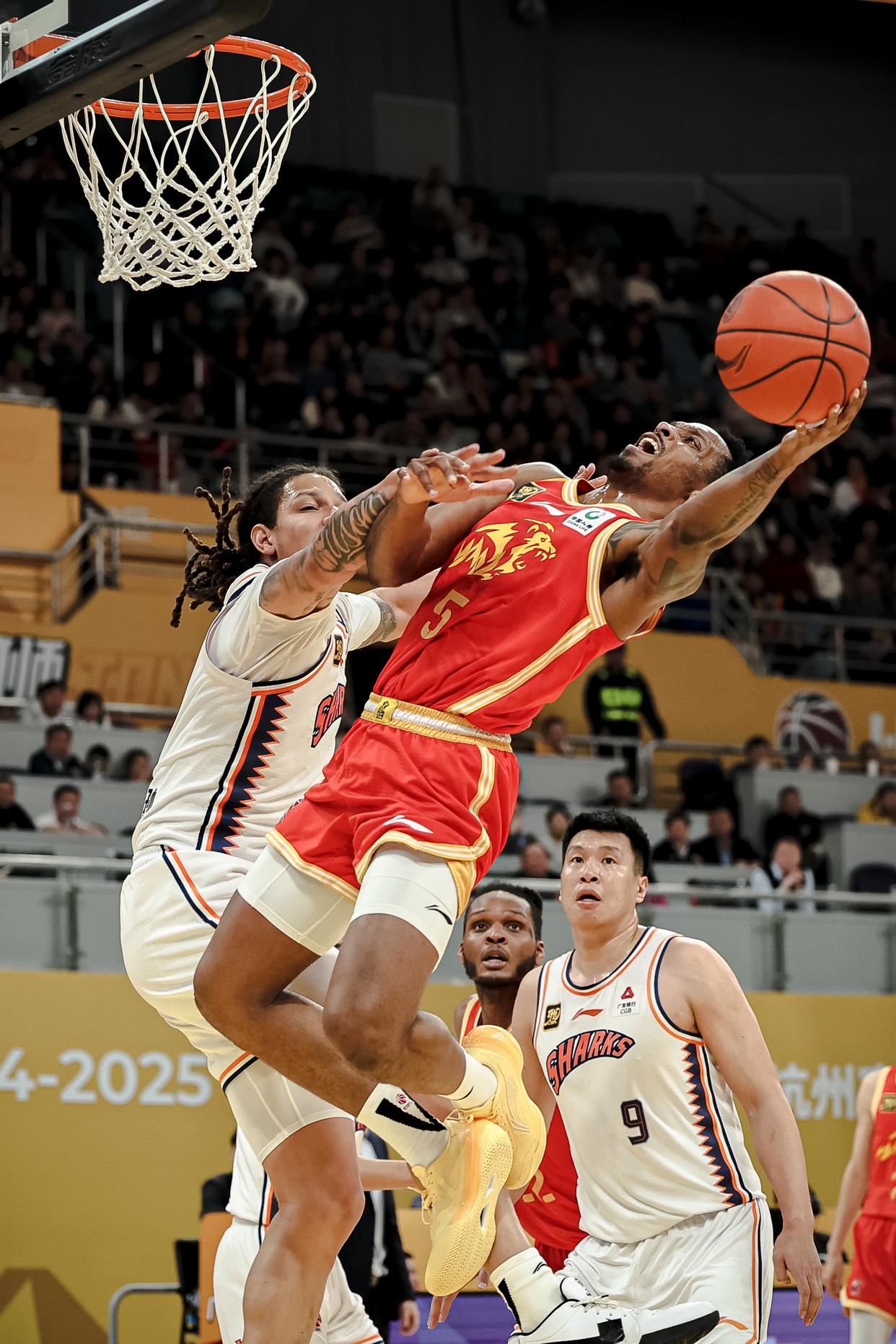 包含浙江篮球联赛接连上演激烈对决，精彩纷呈的词条