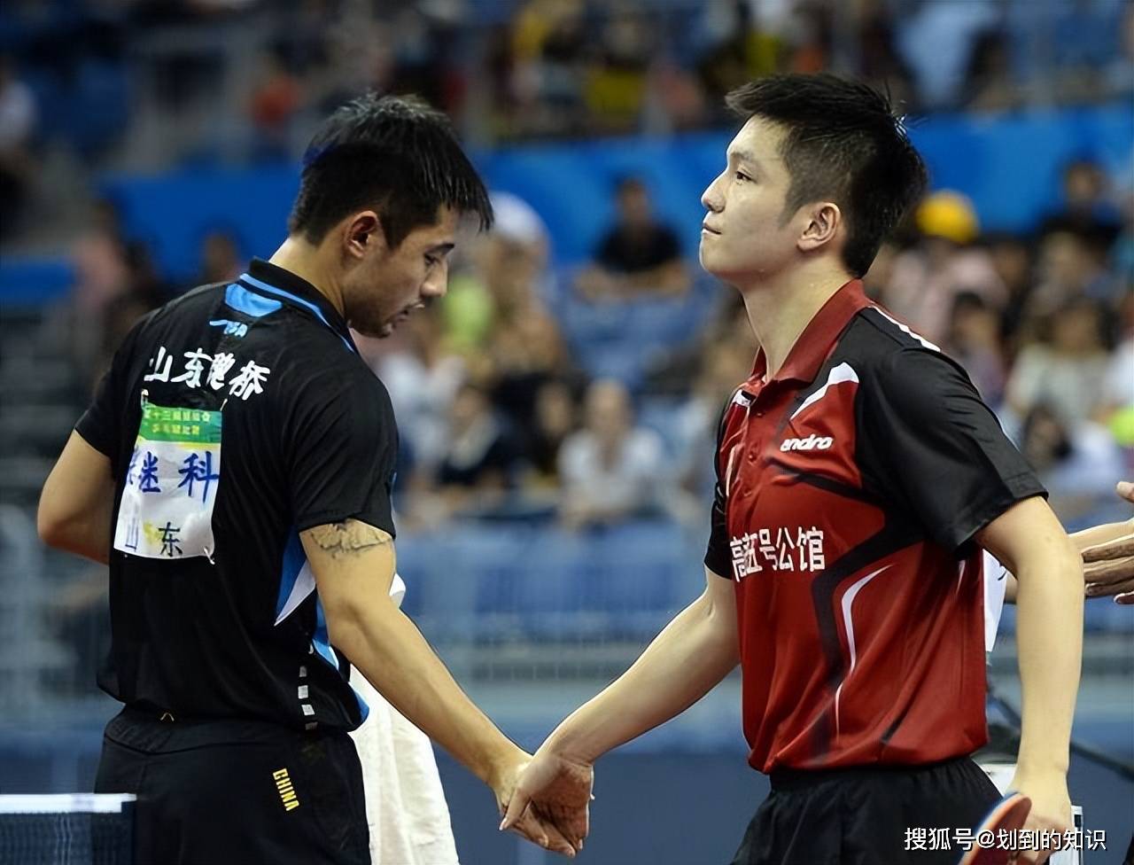 奥地利队横扫中国队，张继科统治全场的简单介绍