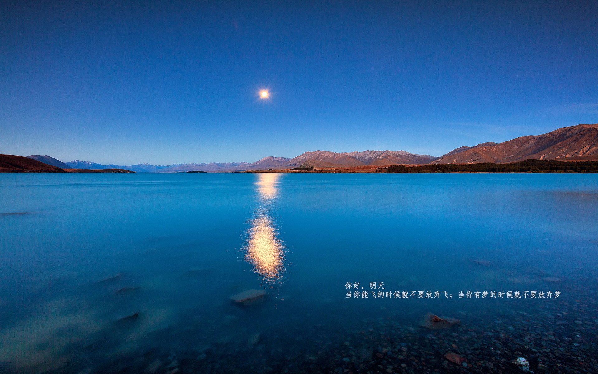 防守炼狱中的关键先生，霍勒迪如何用窒息防守为猛龙锁死胜利