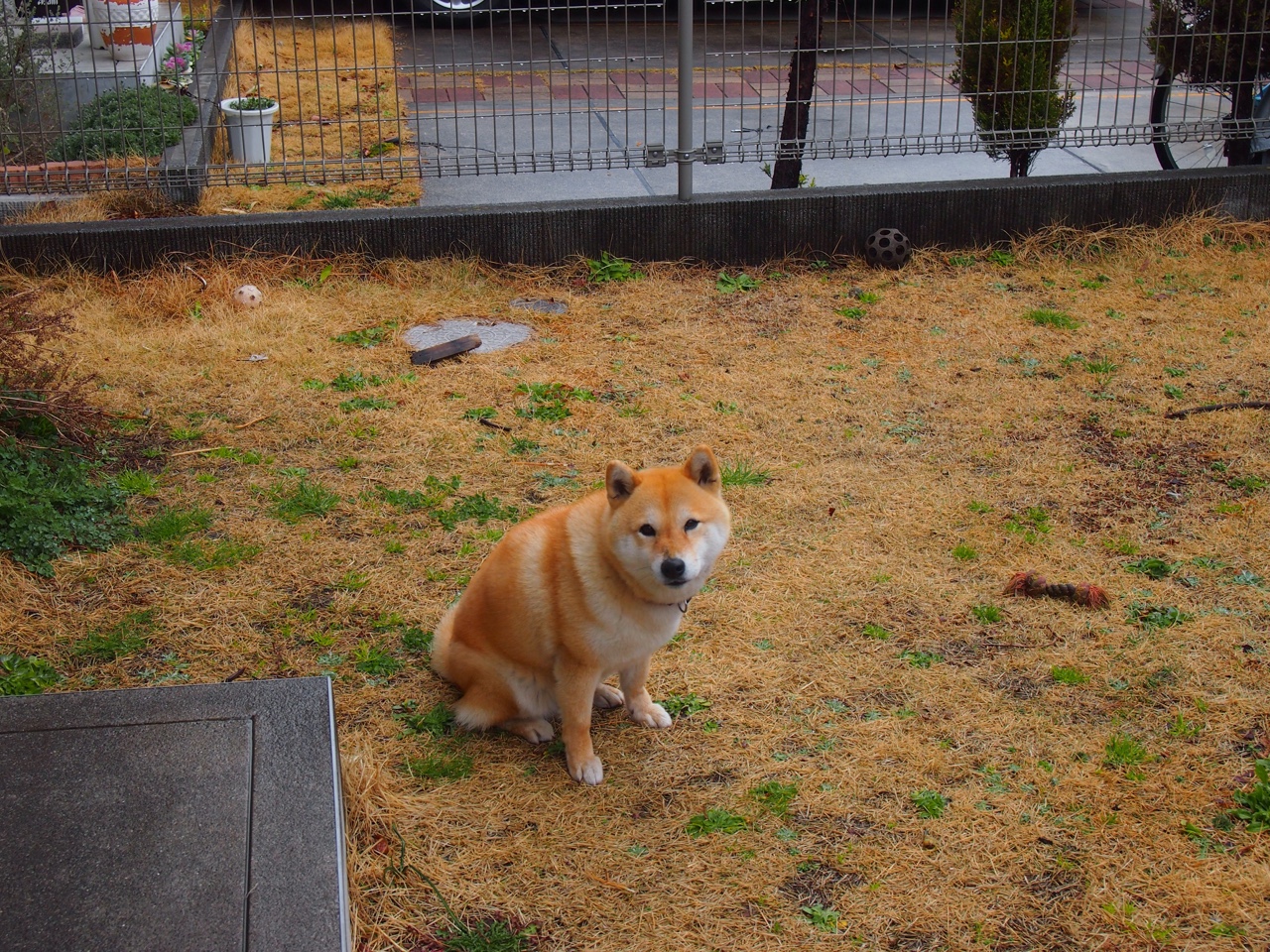 当广东队拥有巅峰哈登，一场错乱时空的篮球对决