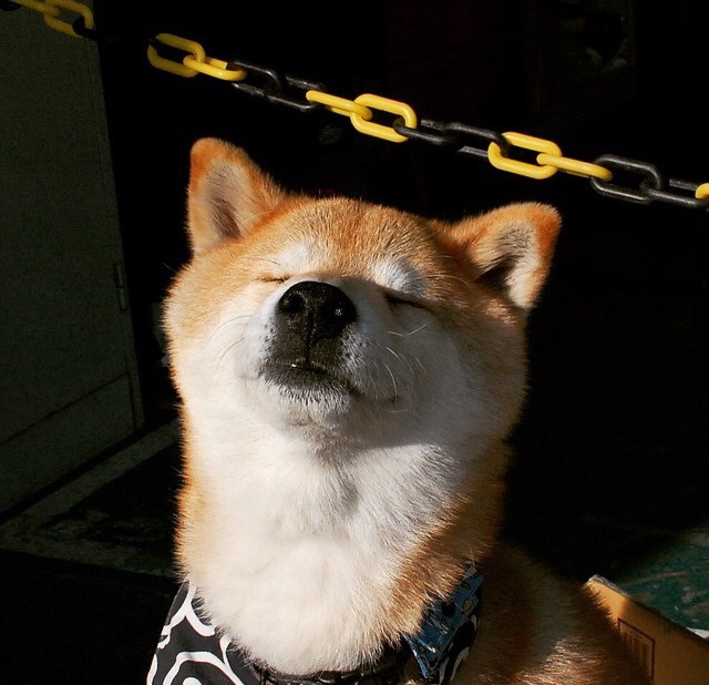 远见与执行,从突尼斯的战术纪律到德布劳内的决定性魔法