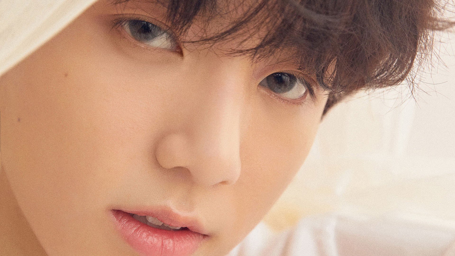 鏖战维罗德洛姆,布鲁诺孤星破晓,铁血马竞陷落马赛