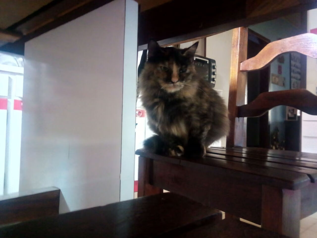 篮网巅峰对决胜山西,哈利伯顿关键先生闪耀全场