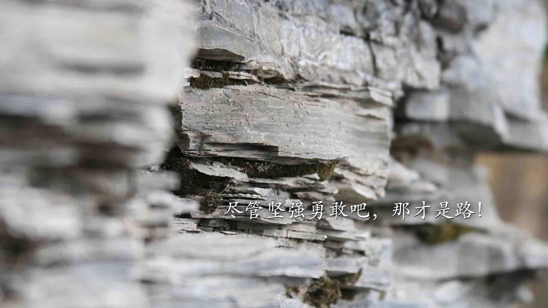 恩比德临危受命，关键先生助开拓者力克老鹰