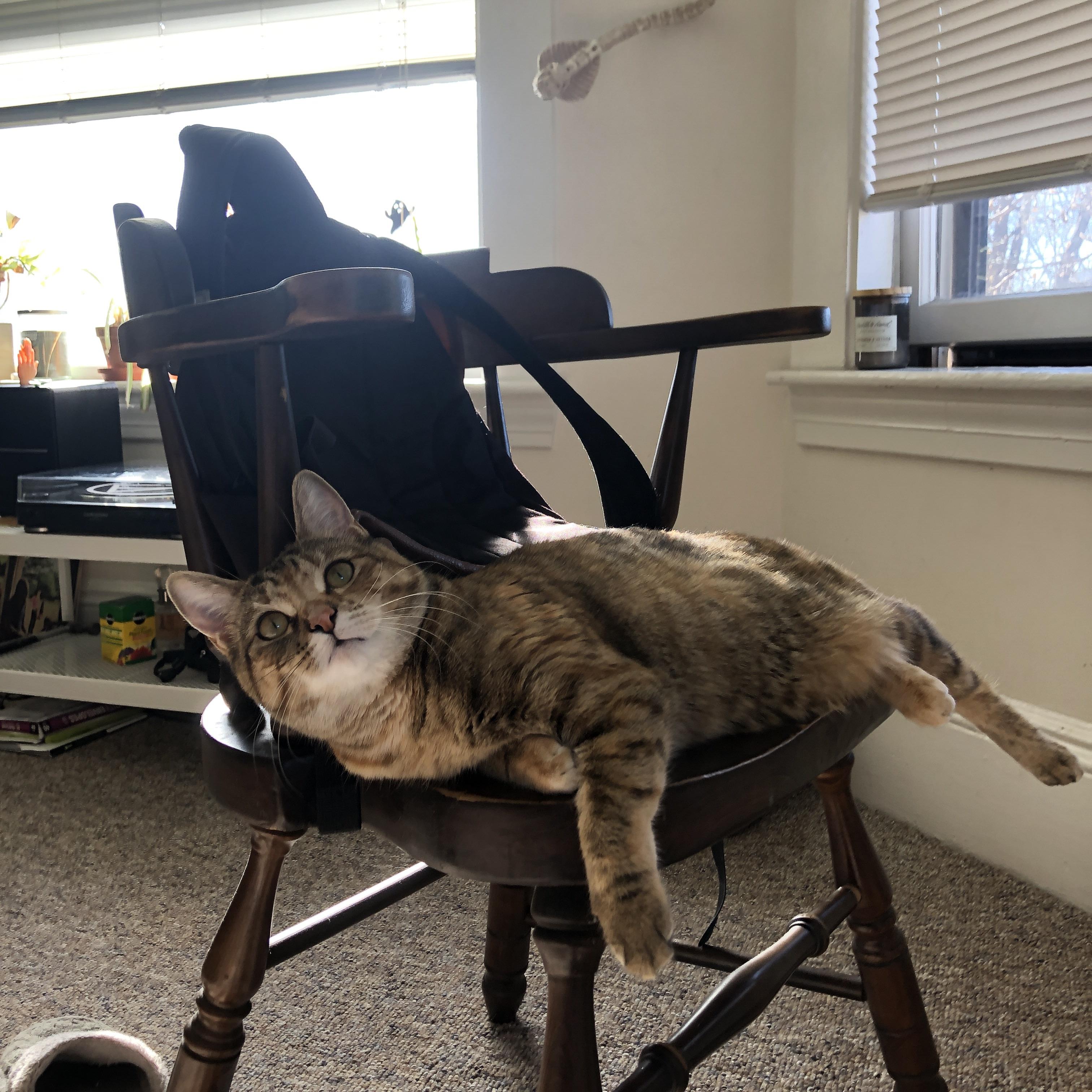 孤胆悲歌与团队交响,当布伦森的爆发撞上马刺的精密绞杀