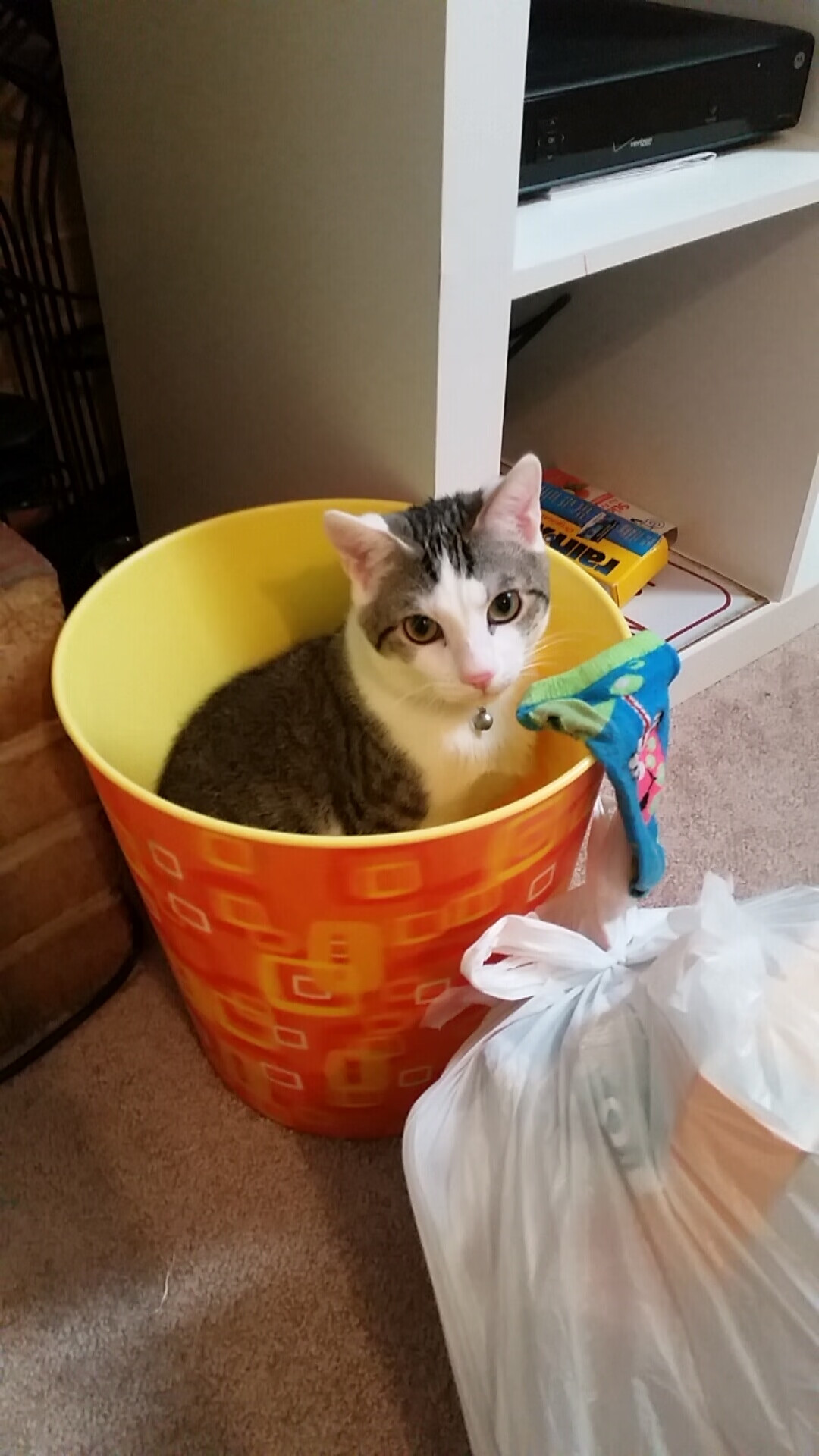 锤落!加克波双响撕裂梦剧场,黄金一代的黄昏被一锤定音