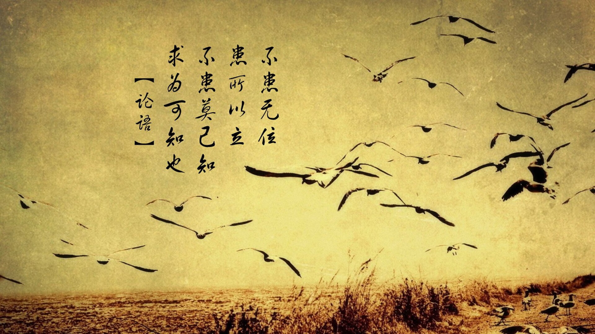 波兰盾牌锁死黄色潜水艇,德国引擎萨内成为关键先生