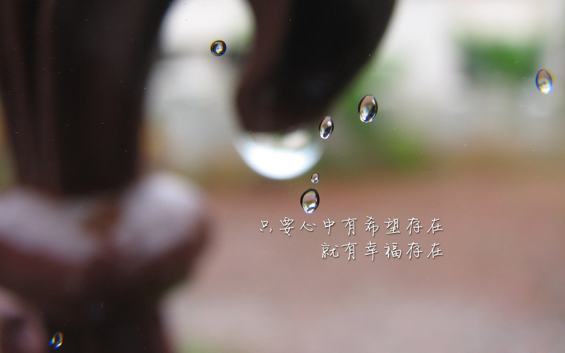 高原魔咒·迪亚斯封神,玻利维亚用一场荒诞胜利改写足球地理