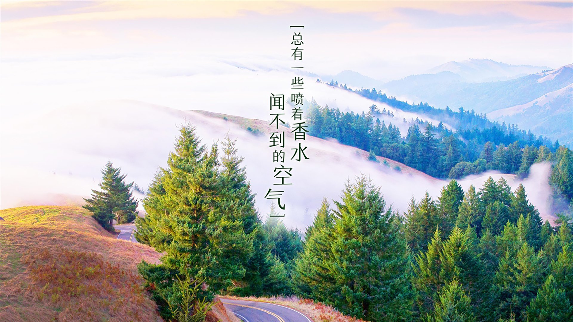 钢铁意志的复辟,2026世界杯关键战,德国绝杀冰岛,德容带队重塑日耳曼荣耀