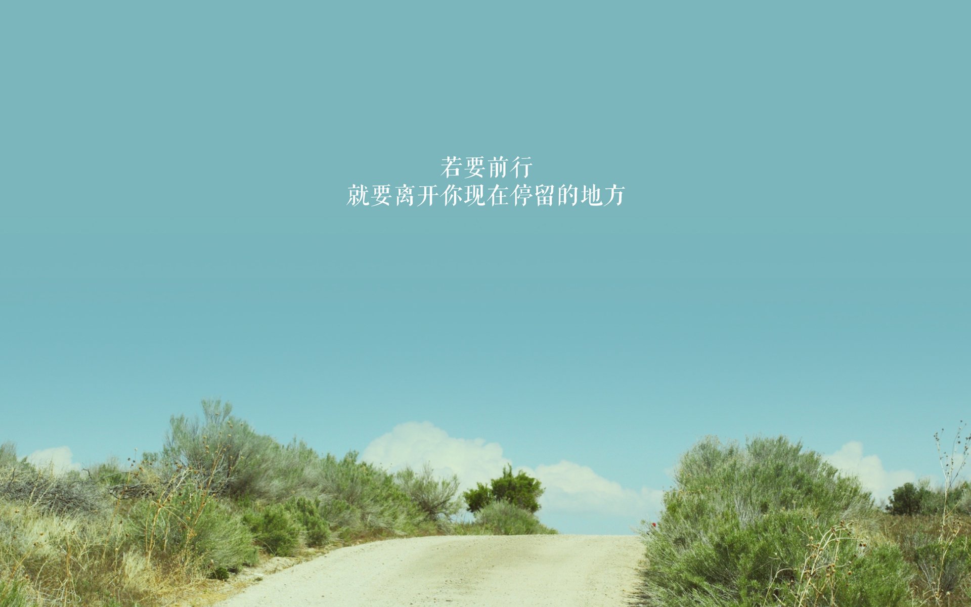 北境之光,当枫叶旗在F组升起—加拿大2026世界杯惊天逆转葡萄牙,凯恩绝杀背后的攻守美学